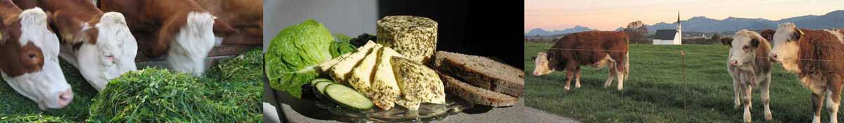 Biomich, Biokäse Milchdirekt Wendlerhof Rosenheim