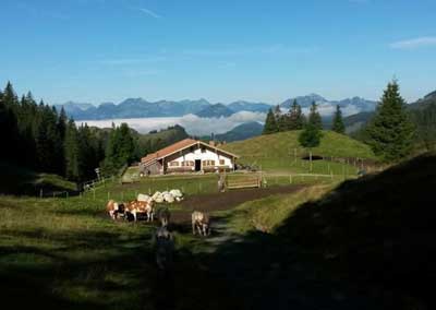 Biomilch, Milchdirektn Rosenheim Chiemgau